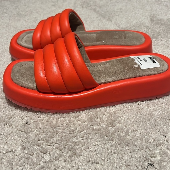 P448 - Picture 4 of 4